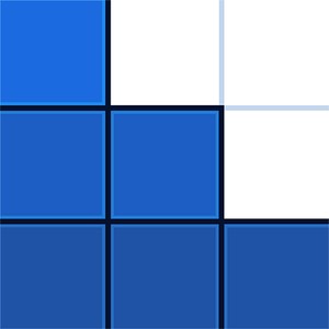 Blockfit Puzzle