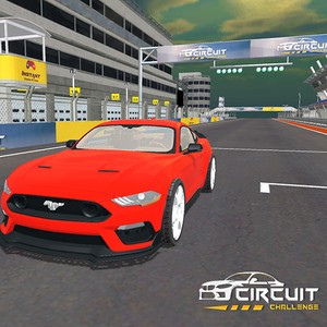circuit challenge